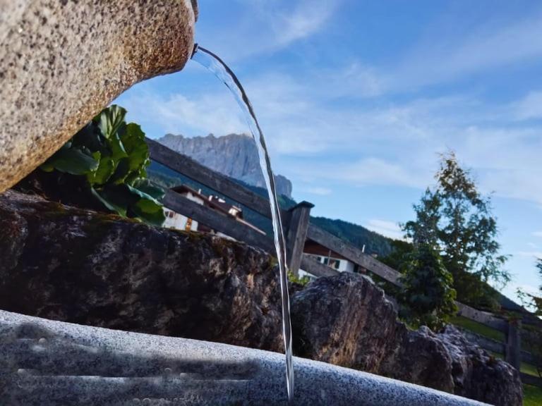 Garni Hotel Iris Selva di Val Gardena Eksteriør bilde