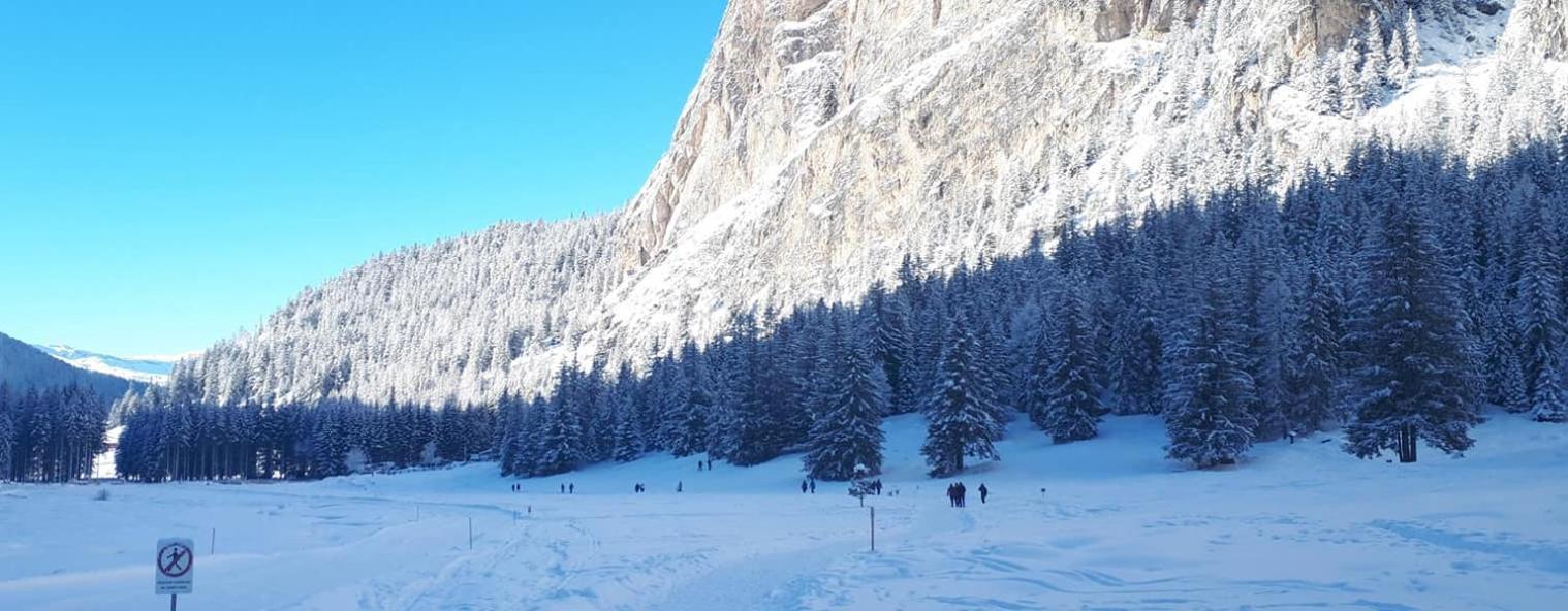Garni Hotel Iris Selva di Val Gardena Eksteriør bilde