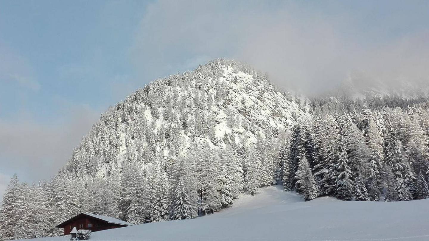 Garni Hotel Iris Selva di Val Gardena Eksteriør bilde