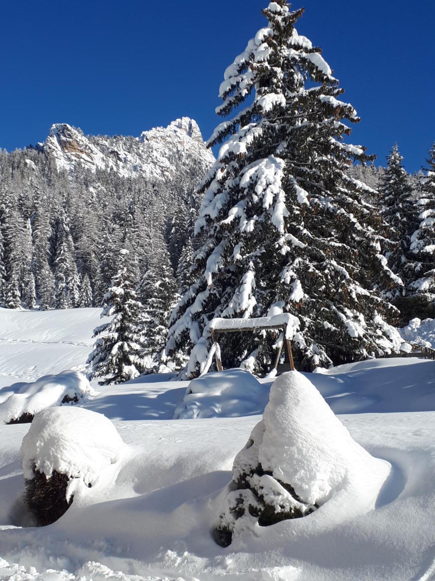 Garni Hotel Iris Selva di Val Gardena Eksteriør bilde