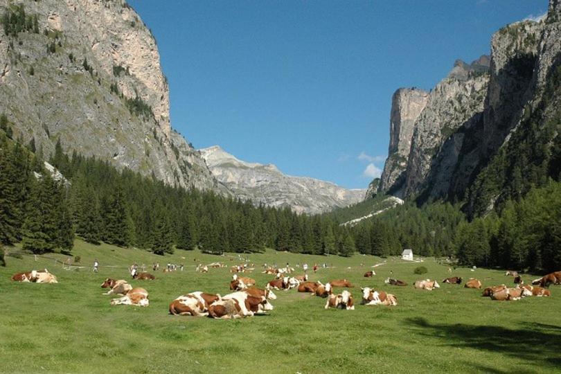 Garni Hotel Iris Selva di Val Gardena Eksteriør bilde